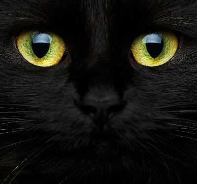 Rolgordijn verduisterend Kattenogen