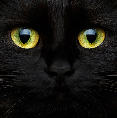 Rolgordijn verduisterend Kattenogen