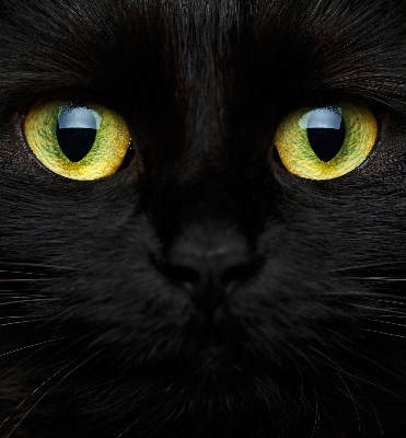 Rolgordijn verduisterend Kattenogen