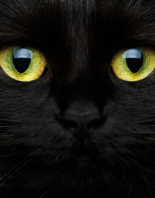 Rolgordijn verduisterend Kattenogen