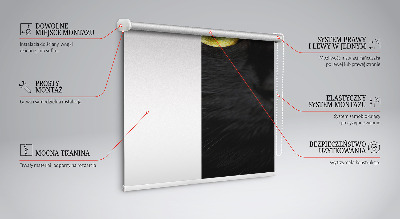 Rolgordijn verduisterend Kattenogen