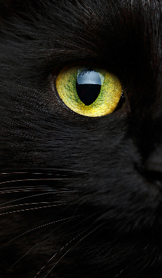 Rolgordijn verduisterend Kattenogen