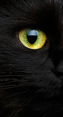 Rolgordijn verduisterend Kattenogen