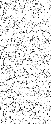 Rolgordijn voor het raam Getekende honden