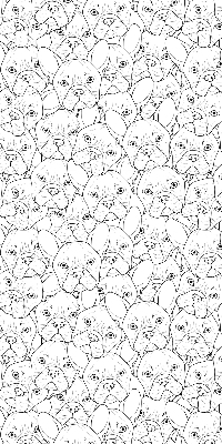 Rolgordijn voor het raam Getekende honden