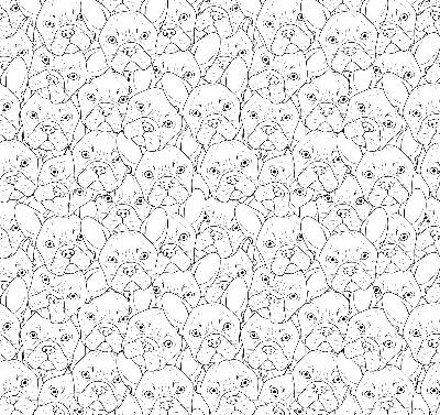 Rolgordijn voor het raam Getekende honden