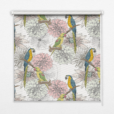 Rolgordijn verduisterend Papegaaien op een tak