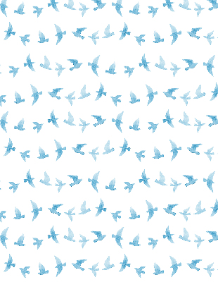 Rolgordijn voor het raam Blauwe vogels