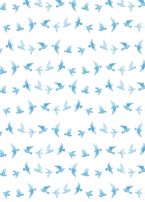 Rolgordijn voor het raam Blauwe vogels