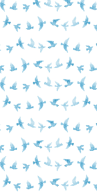 Rolgordijn voor het raam Blauwe vogels