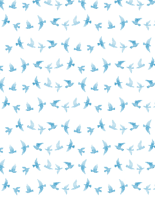 Rolgordijn voor het raam Blauwe vogels