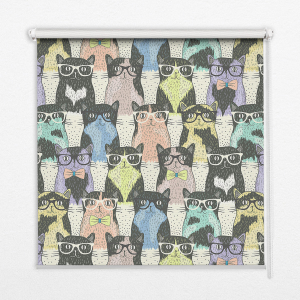 Rolgordijn voor het raam Katten