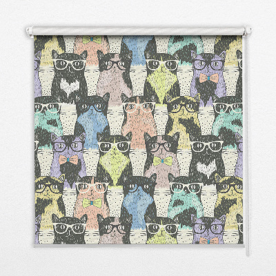 Rolgordijn voor het raam Katten