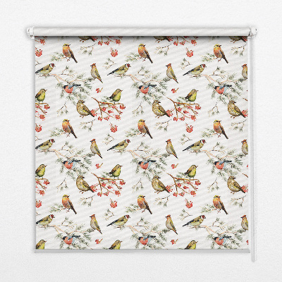 Rolgordijn voor het raam Vogels op de takken
