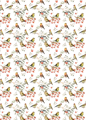 Rolgordijn voor het raam Vogels op de takken