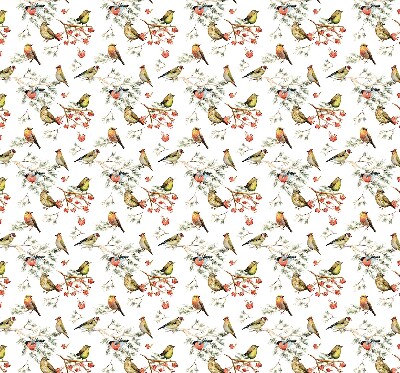 Rolgordijn voor het raam Vogels op de takken