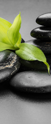 Rolgordijn voor het raam Orchidee op de stenen