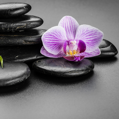 Rolgordijn voor het raam Orchidee op de stenen