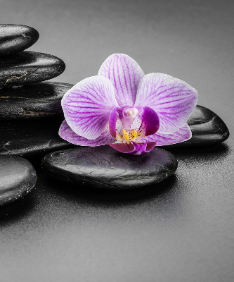 Rolgordijn voor het raam Orchidee op de stenen