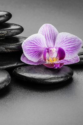 Rolgordijn voor het raam Orchidee op de stenen