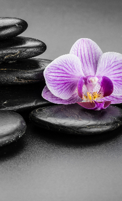 Rolgordijn voor het raam Orchidee op de stenen