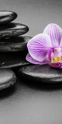 Rolgordijn voor het raam Orchidee op de stenen