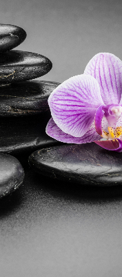 Rolgordijn voor het raam Orchidee op de stenen