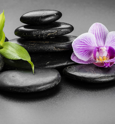 Rolgordijn voor het raam Orchidee op de stenen