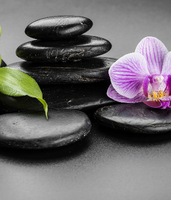 Rolgordijn voor het raam Orchidee op de stenen