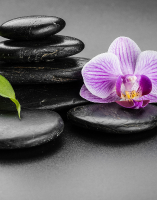 Rolgordijn voor het raam Orchidee op de stenen