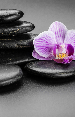 Rolgordijn voor het raam Orchidee op de stenen