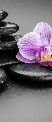 Rolgordijn voor het raam Orchidee op de stenen