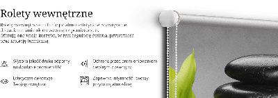 Rolgordijn voor het raam Orchidee op de stenen