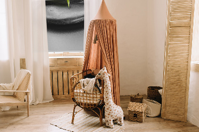 Rolgordijn voor het raam Orchidee op de stenen