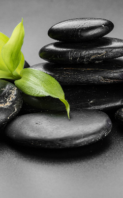 Rolgordijn voor het raam Orchidee op de stenen