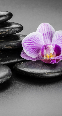 Rolgordijn voor het raam Orchidee op de stenen