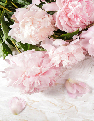 Rolgordijn verduisterend Bloemen