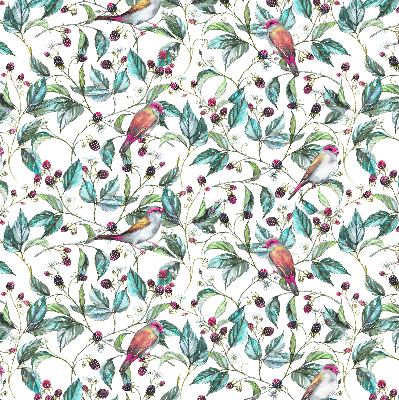 Rolgordijn verduisterend Blauwe bladeren en kleurrijke vogels