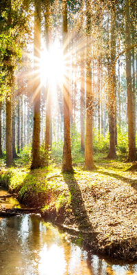 Rolgordijn verduisterend De zon schijnt door de bomen