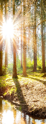 Rolgordijn verduisterend De zon schijnt door de bomen