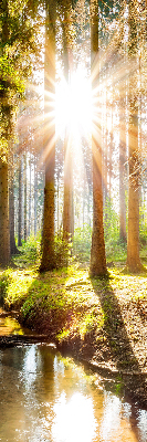 Rolgordijn verduisterend De zon schijnt door de bomen