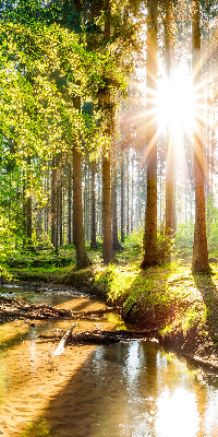 Rolgordijn verduisterend De zon schijnt door de bomen