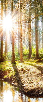Rolgordijn verduisterend De zon schijnt door de bomen