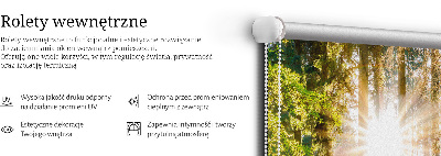 Rolgordijn verduisterend De zon schijnt door de bomen