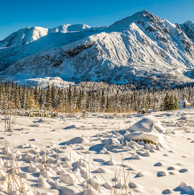 Rolgordijn voor het raam Bergen