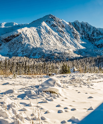 Rolgordijn voor het raam Bergen