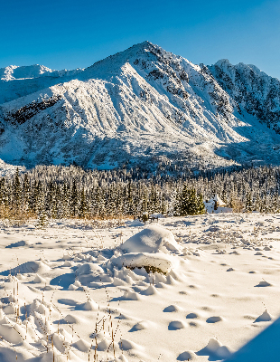 Rolgordijn voor het raam Bergen