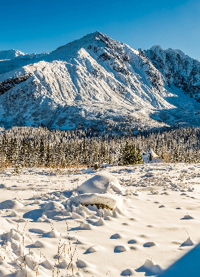Rolgordijn voor het raam Bergen