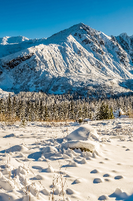 Rolgordijn voor het raam Bergen