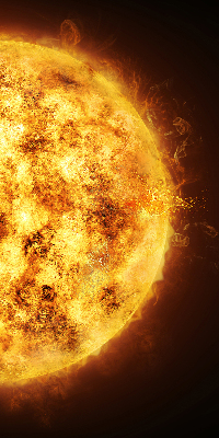 Rolgordijn voor het raam Geel gaas